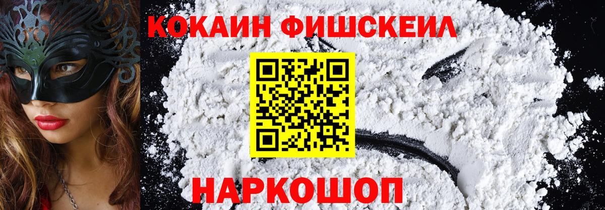COCAIN Fish Scale  Вход с VPN  COCAIN  Самара 