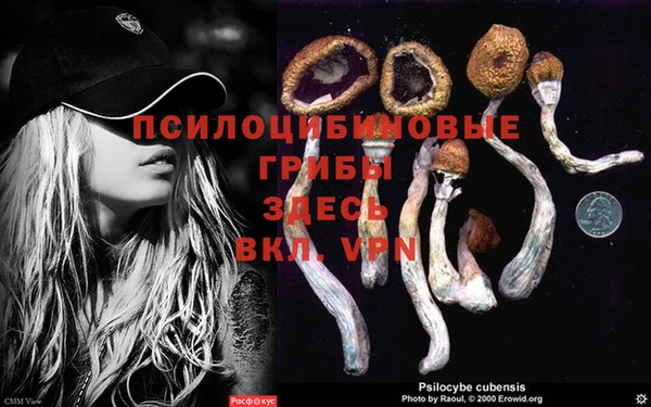 PSILOCYBIN Няндома