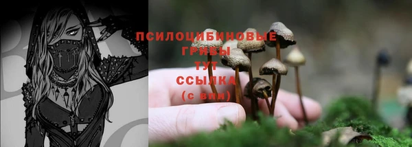 мдпв Нязепетровск