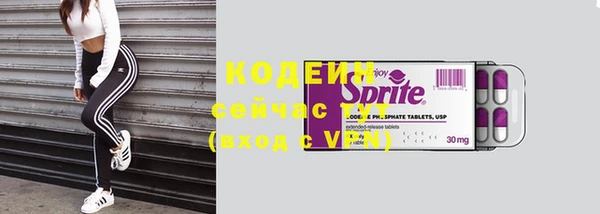 дмт Нягань