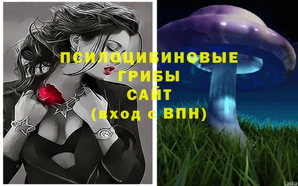 круглые Новозыбков
